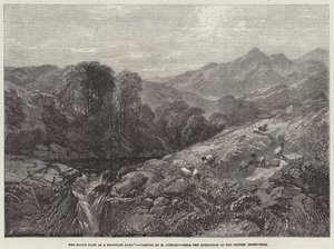 The Rocky Path of a Mountain Burn